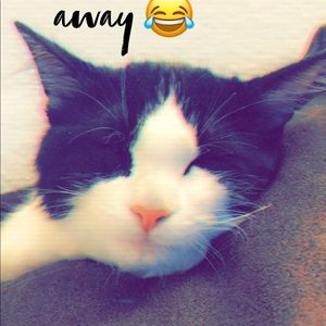 Meet your Posher, Tiara